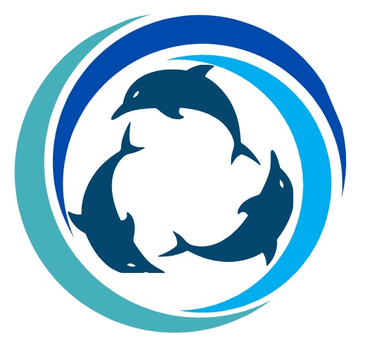 Dolphins Consulting Group
